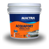 Mactra