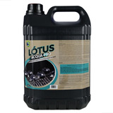 Impermeabilizante De Sofa Base Agua Acqua pro 5l Lotus G s