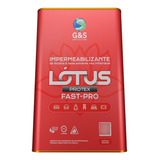 5l