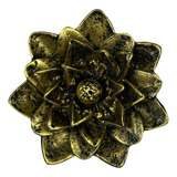 Dourado