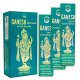 Incenso Anand Ganesh Special Box Com