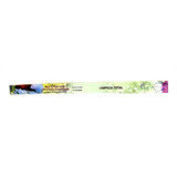 Incenso Gigante De Jardim Flute Caixa C 4 Varetas De 48cm Fragrância 7 Ervas Com Sal Grosso