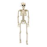 Incrível Esqueleto Humano Halloween Dia Das Bruxas 