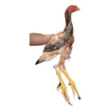 Ovos