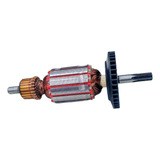 220v
