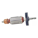 110v