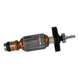 220v