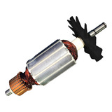 220v