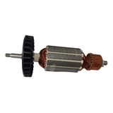 Induzido rotor P Serra