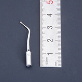 Gnatus