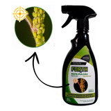 500ml