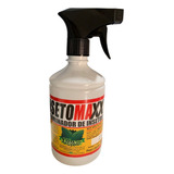 Inseto Maxx Exterminador 500ml 1 Unid