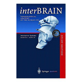 Interbrain Topographical Anatomy Of
