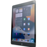 iPad 10 2 9 Geração