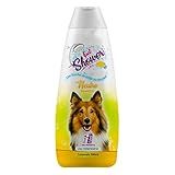 Cães