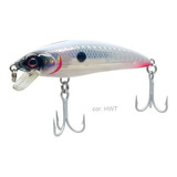 Hwt