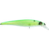 Isca Marine Sports Savage