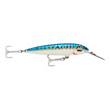 Mackerel