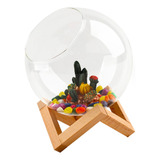 J Mini Kits De Aquário  Jarra De Vidro Pequena  Terrário  L