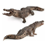 Jacare Crocodilo Animais Selvagens