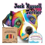 Jack Russell Terrier