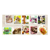 Japão Gatos 2018 S completa