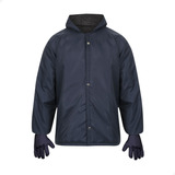Japona Térmica Par De Luvas Nylon P câmara Fria Azul 35 