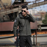 Masculina