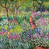 Jardim De Iris 1900 De Claude Monet 30x31 Tela Canvas Para Quadro