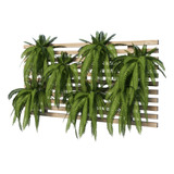 Plantas