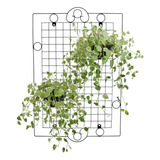 Jardim Vertical Modular Planta Viva 1m X 76m Em Aço