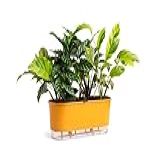 Jardineira Autoirrigável 40cm X 16cm Terrazzo Arenito