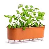 Jardineira Autoirrigável 40cm X 16cm Terrazzo Terracota