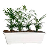 Jardineira Floreira 50cm De Plástico Para Plantas E Flores Cor Branco
