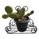 Jardineira P plantas 30cm Em Ferro Artesanato Rústico Jardim
