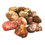 Jaspe Leopardo Unidade 2cm