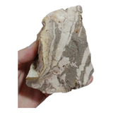 Jaspe Zebra cod2526