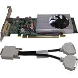Jaton Placa De Vídeo GeForce GT220 1 GB DDR2 HDMI LFH De Perfil Baixo PCI Express VIDEO PX638 DLP