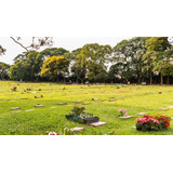 Jazigo Cemiterio Parque Jardim