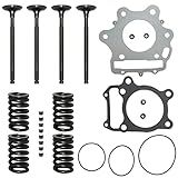 JDLLONG Kit De Válvula De Escape De Admissão De Cilindro Para Honda TRX300EX Sportrax 300 2X4 1993 2008