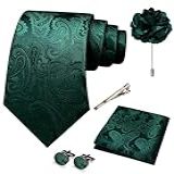 JEMYGINS Gravata Masculina Paisley E Bolso Quadrado Broche De Lapela Abotoaduras Conjuntos De Prendedores De Gravata Com Caixa De Presente 5 Peças Verde Esmeralda Tamanho Nico