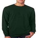 Jerzees Camiseta Masculina De Manga Comprida -21 Ml-- Verde Floresta- M