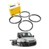 Jg Aneis Pistão Motor Std Daily 55c16/70c16 3.0 2008 A 2011