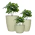 Jogo 3 Vaso Para Planta Grande Cone Bojo Prato Escovado Luxo