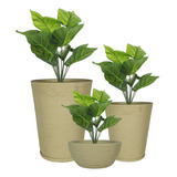 Jogo 3 Vasos Planta