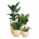 Decor