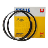 Mahle