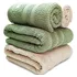 Jogo Banho Buddemeyer Vanilla Extra Soft 100  Algodão 4peças Cor Bege Verde 3214 1171 2 Toalhas De Banho E 2 Toalhas De Rosto