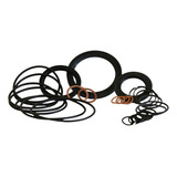 Jogo De Reparo Zf Bw 60 Zf 220a Para Reversor Marítimo