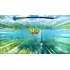 Jogo Fishing Star World Tour Nintendo Switch Midia Fisica